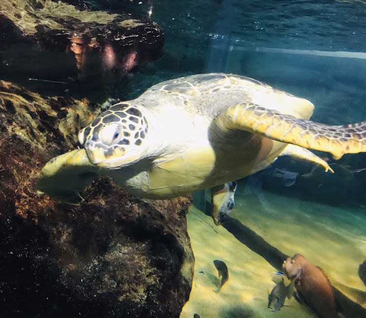 RC特攻さんが投稿した佐世保に関するカスタム事例の投稿画像15枚目