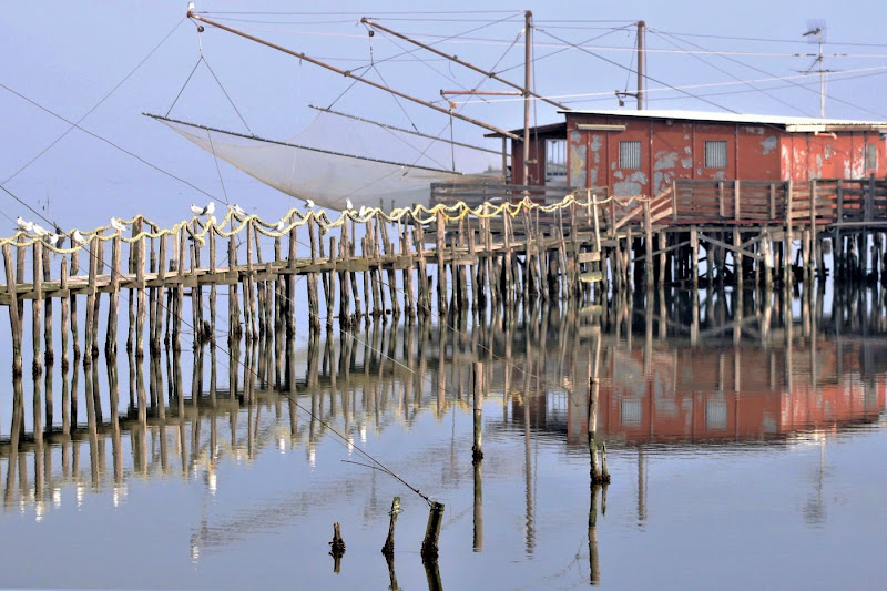 Valli di Comacchio di paolo-spagg