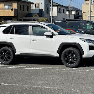 RAV4 MXAA54