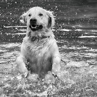 golden e acqua....connubio perfetto di 