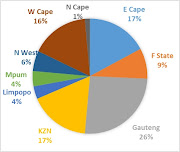 Service delivery protests from January to May 2019 according to province.