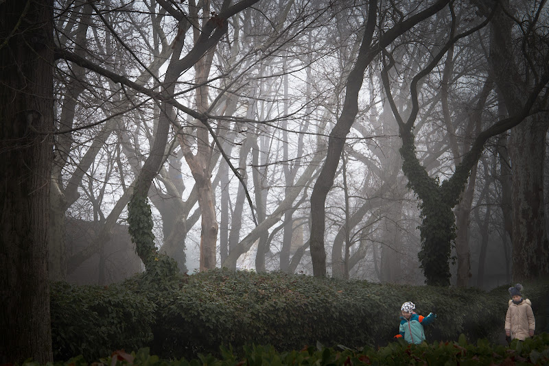 A walk to paradise garden di pfelletti