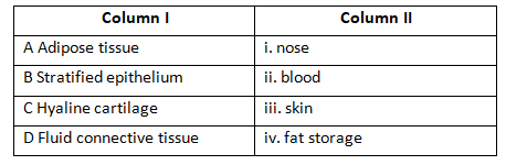 Epithelial Tissues or Epithelia