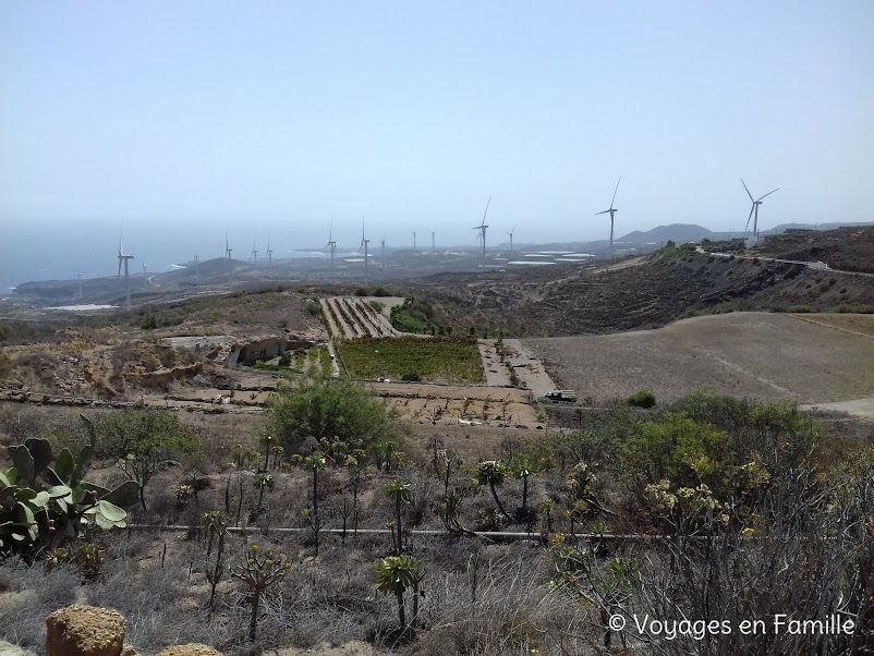 Tenerife, éoliennes