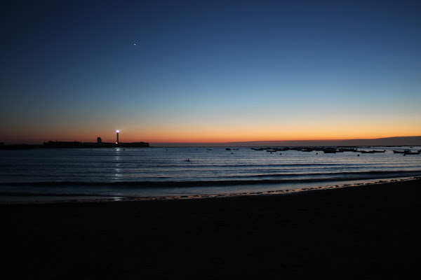 Tuffo nell'oceano di fruigram