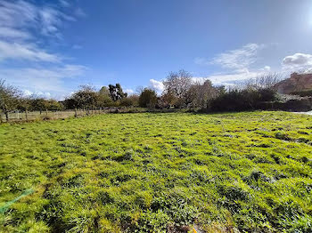 terrain à Dol-de-Bretagne (35)