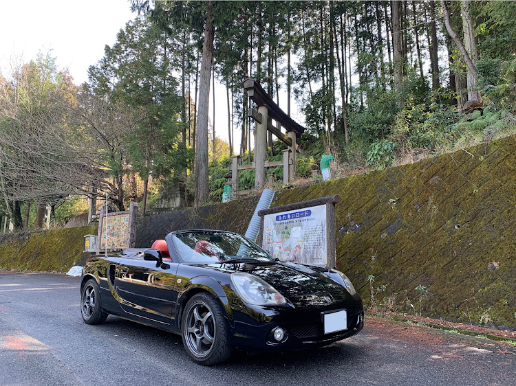 MR-Sのドライブ・オープンカーに関するカスタム事例の投稿画像1枚目