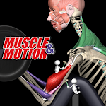 Cover Image of Télécharger Entraînement musculaire par muscle et mouvement 2.1.08 APK