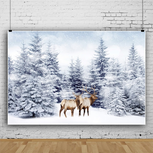 Title 4, Real Material Photography Background Fabric Cur...