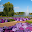 Botanical gardens Download on Windows