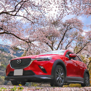 CX-3 DK5FW