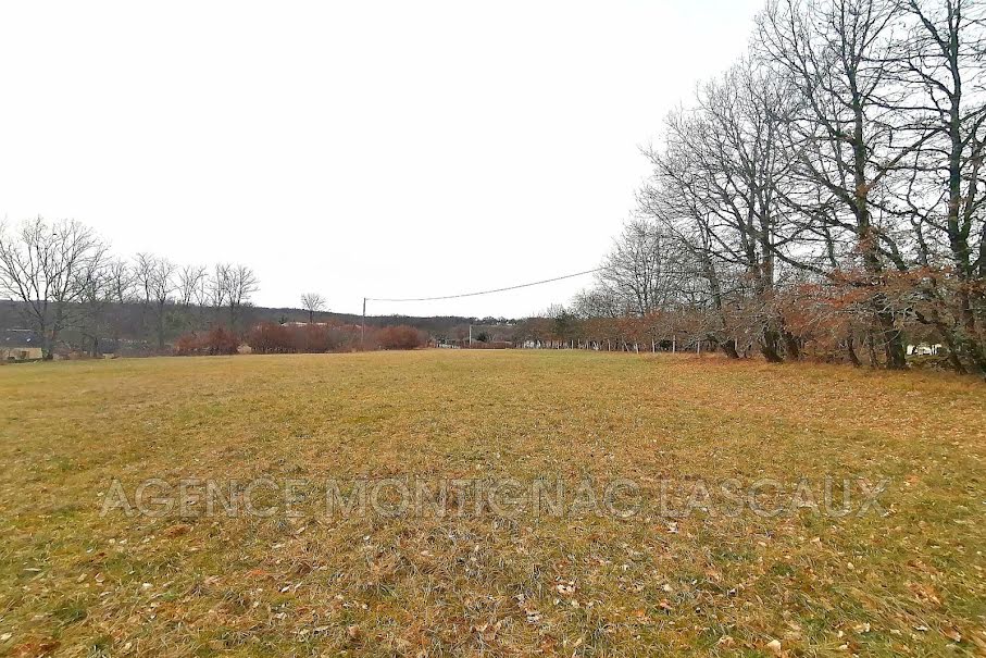 Vente terrain  5500 m² à La Cassagne (24120), 88 000 €