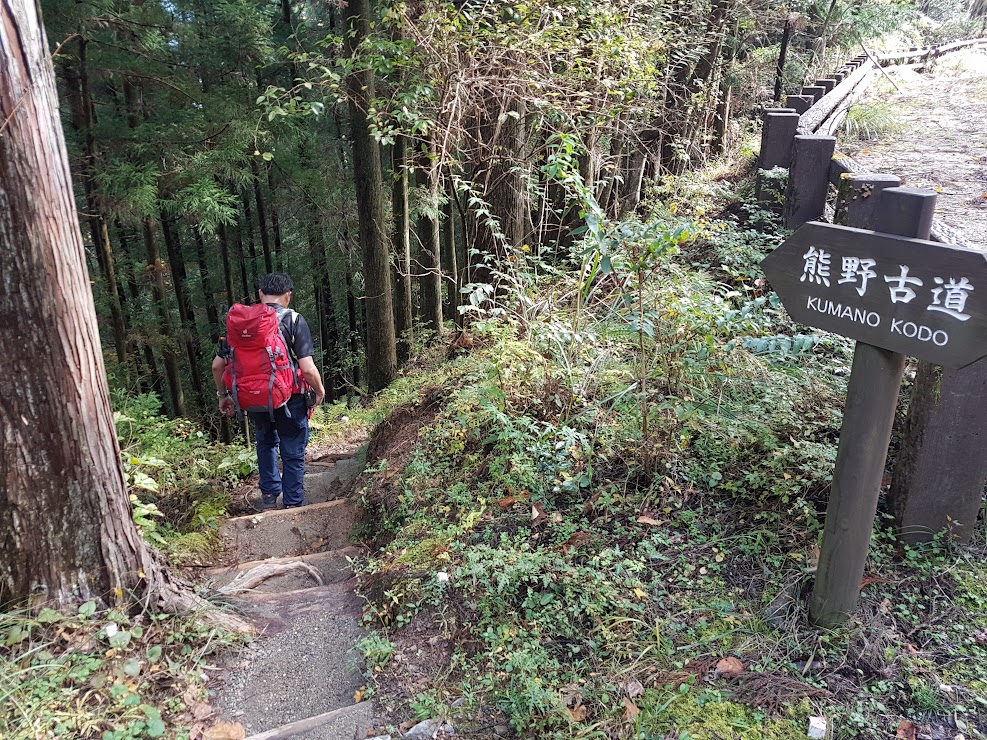 From Takahara to Chikatsuyu–Day 2 of the Kumano Kodo Nakahechi hike