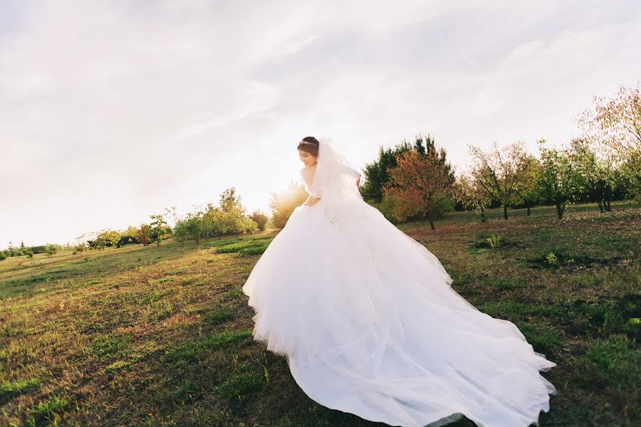 Wedding photographer Svetlana Ivankova (svetiklana). Photo of 7 September 2015