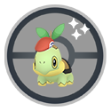 Turtwig wearing Lucas’s hat