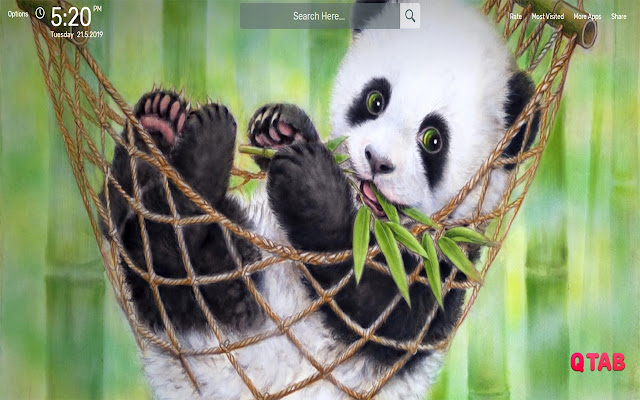 Panda Wallpapers HD Theme