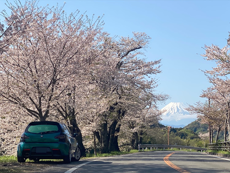 の投稿画像1枚目