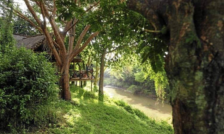 Basecamp Masai Mara is on the Talek River