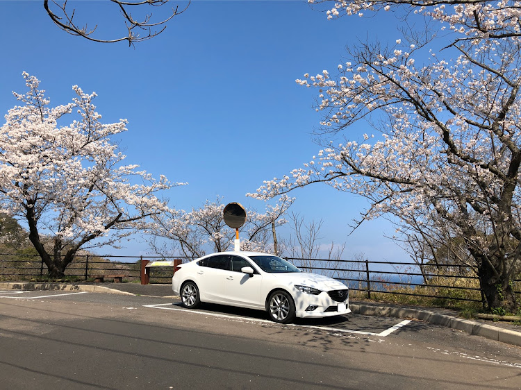 アテンザの桜と愛車・桜に関するカスタム事例の投稿画像2枚目
