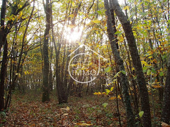 terrain à Savignac-de-Duras (47)