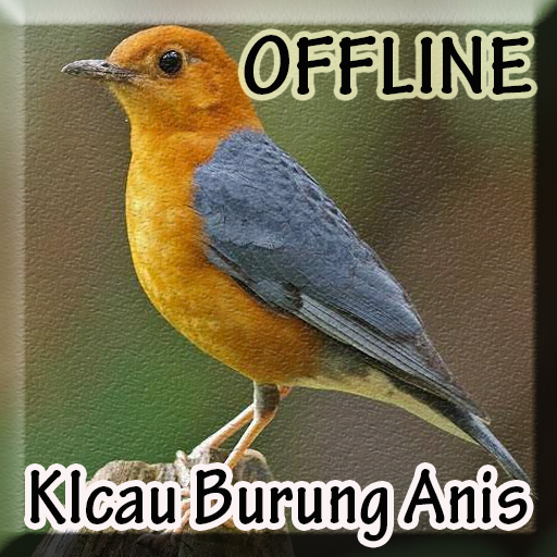 Unduh Kicau Burung Anis Merah 1 0 Apk Com Andromo Dev659582