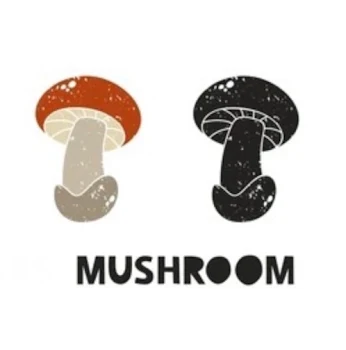 「mushroom」のメインビジュアル