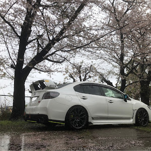 WRX STI VAB