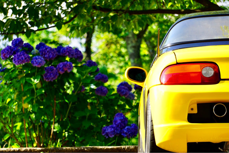 ビートのKIINAI愛車・フォロワー様に感謝申し上げます🙇‍♂️・NO  correct answer in the Photo・紫陽花・梅雨の晴れ間に関するカスタム事例の投稿画像3枚目