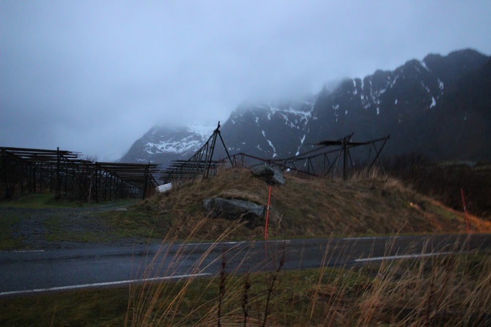 В погоне за снежными пейзажами (острова Lofoten в Новом 2020 году)