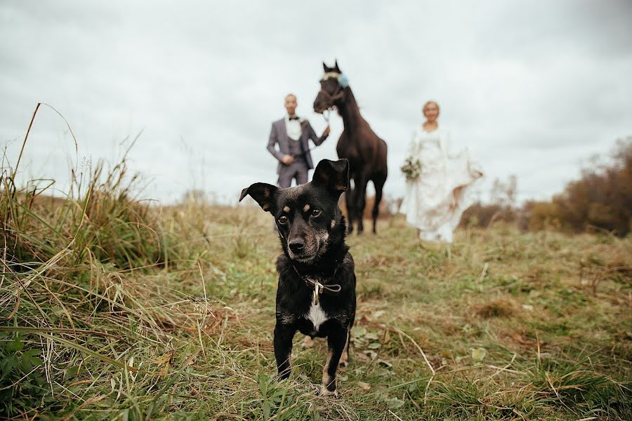 Fotógrafo de bodas Evgeniy Shvecov (shwed). Foto del 27 de septiembre 2017