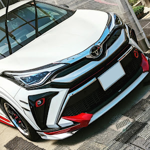 C-HR NGX10