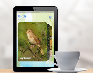 Bird Sounds(圖7)-速報App