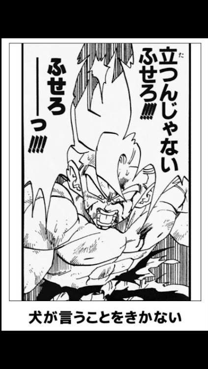 にゃんこ師匠(*ΦωΦ*)さんが投稿したカスタム事例の投稿画像3枚目