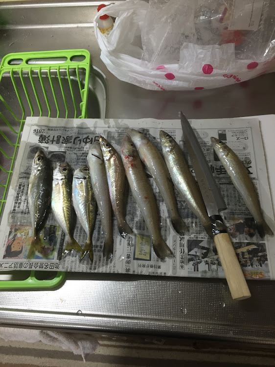 アルファードのアルファード・釣りに関するカスタム事例の投稿画像3枚目