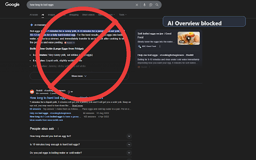No AI Overview screenshot 1