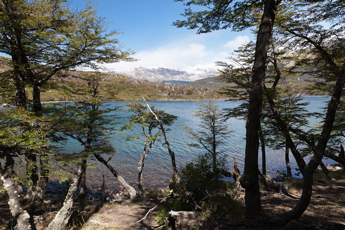 Патагония: Carretera Austral - Фицрой - Торрес-дель-Пайне. Треккинг, фото.