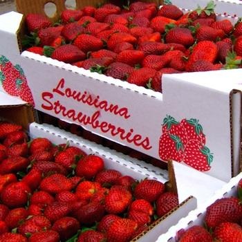 Strawberries