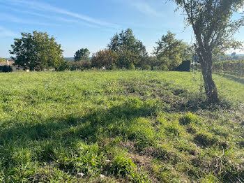 terrain à Saint-Magne-de-Castillon (33)