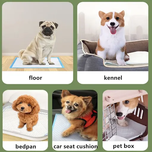 120PCS Thickened Absorbent Dog Puppy Training Pads Pet Disposable Diapers Cat Dog Pee Pads Leak-Proof Pet Urine Mat Quic
