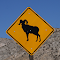 Item logo image for Annotated Mountain Goats Extension