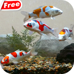 Cover Image of Download Koi Fish Tank Video Wallpaper 1.0 APK