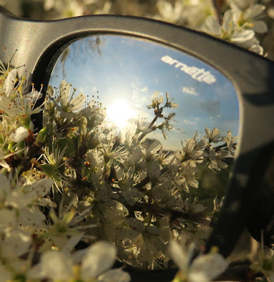 sguardo di primavera di klarinetto