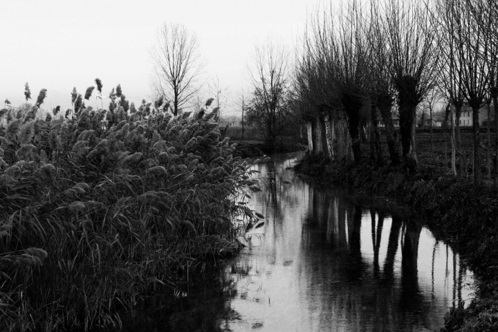 Fiume Tormo di emidepo_1973