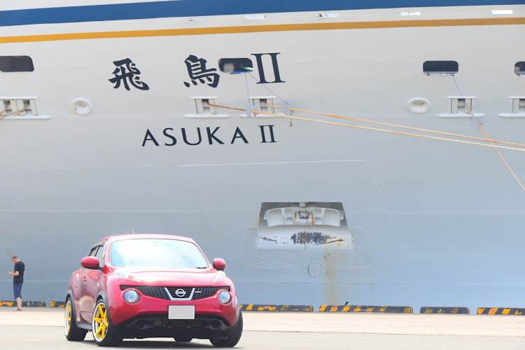 ジュークのぱしふぃっくびいなす・にっぽん丸・ダイヤモンドプリンセス・飛鳥II・MSC スプレンディダに関するカスタム事例の投稿画像5枚目