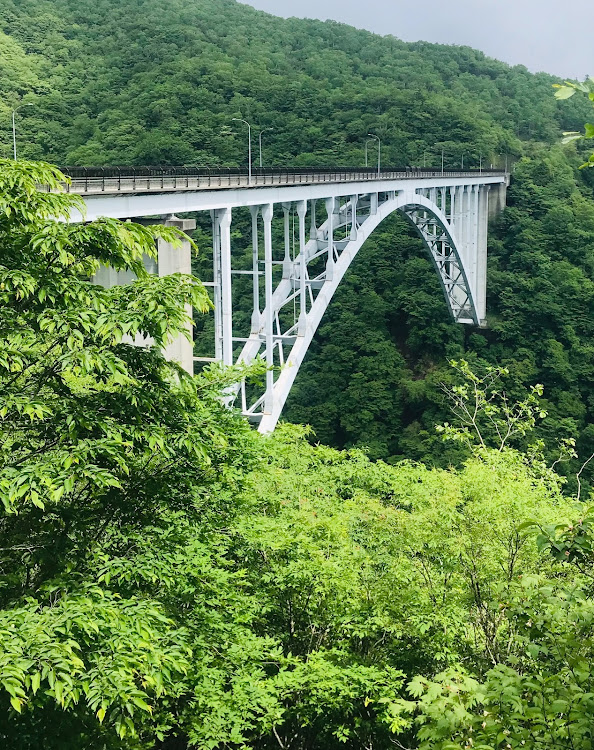 コペンの高原ドライブ🚖👍・キスゲの花見頃に・シフトノブと肘掛け😷・コロナ禍に負けるな🤣に関するカスタム事例の投稿画像5枚目