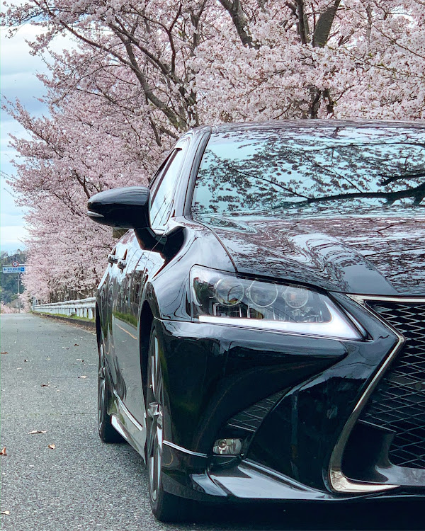 GSの桜・REV最強ガラスコーティング・桜と愛車・ドライブに関するカスタム事例の投稿画像1枚目
