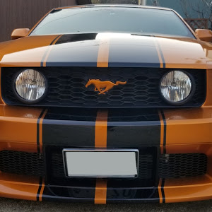 マスタング コンバーチブル V8 GT