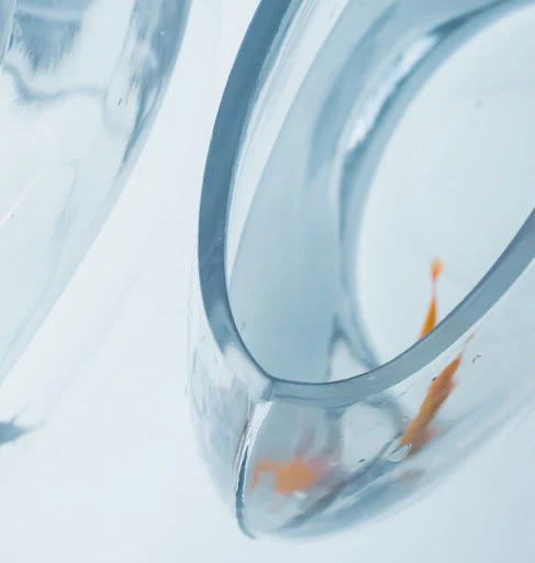 Creative Flat Glass Fish Tank Desktop Oval Transparent Glass Goldfish Tank Mini Aquarium Decoration Fishbowl Accessories