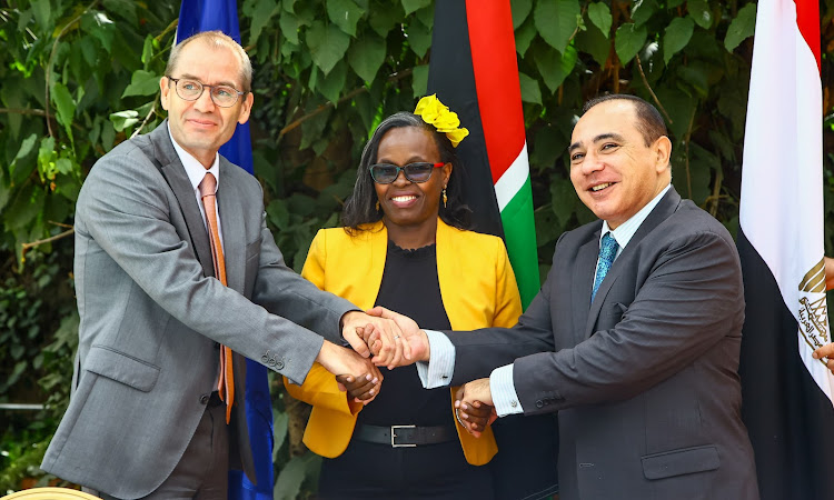 Ondrej Simek, Deputy Ambassador of the Delegation of the European Union, Rosalind Nyawira, Director of the Kenya National Counter Terrorism Centre and Wael Nasreldin Attiya, Ambassador of the Arab Republic of Egypt during the press conference