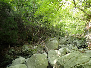 緩やかな斜面に向かって渡渉